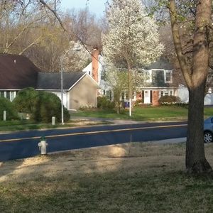 Meet your Posher, Celeste